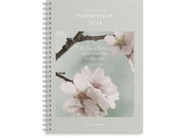 Life Planner Inspiration - 1244