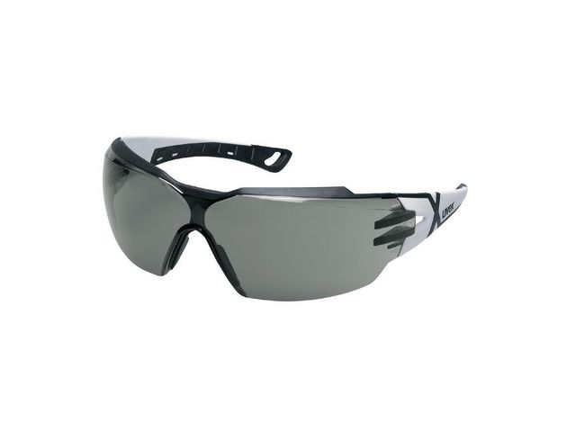 Skyddsglasögon UVEX pheos cx2 Mörk