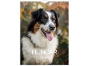 Vggkalender Stora Hundkalendern 2026