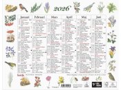 Vggkalender Lilla Naturalmanackan 2026