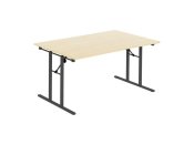 Fllbord 1600x800x730x25 ljus bjrk/sva
