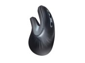 Mus Ergonomisk TRUST Verro Tr�dl�s