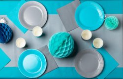 Tallrik PRONAPPE papper 23cm 20/fp turko