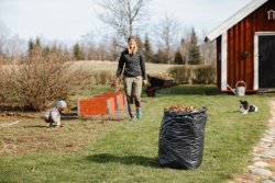 Plasts�ck K1 Basic 70L 30my svart 25/rl