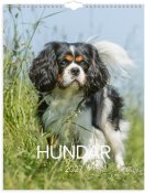 V�ggkalender Stora Hundkalendern 2027