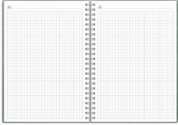 Kalender Study Twist A5 gr�n 26/27