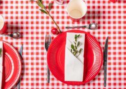 Duk PRONAPPE Rutig 1,18x25m rd/vit