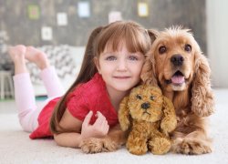 Mjukdjur Lumo Cockerspaniel