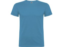 T-shirt PF beagle herr turkos S