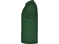 T-shirt PF beagle herr buteljgr 2XL