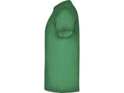 T-shirt PF beagle herr mossgrn 2XL