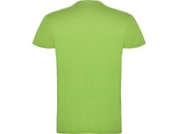 T-shirt PF beagle herr ljusgrn 2XL