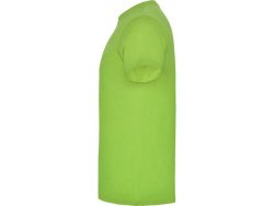 T-shirt PF beagle herr ljusgrn 2XL