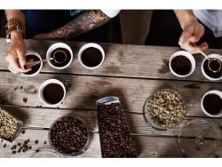 Kaffe ZOGAS Blue Java 450g