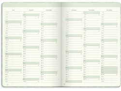 Life Planner Dream & Do 2026