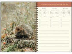 Kalender Lantdrmmar 2026