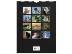 Vggkalender Stora Kattkalendern 2026
