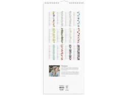 Vggkalender Lilla Blomsterkalender 2026