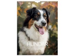 Vggkalender Stora Hundkalendern 2026