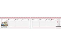 Stor Plankalender Humor 2026