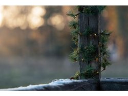 Ljusslinga girlang 60 LED 5,9m utomhus