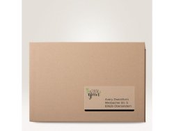 Etikett AVERY 210x297mm transparent 25st/fp