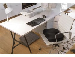 Stolskudde KENSINGTON Premium