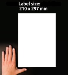 Etikett AVERY 210x297mm Avtagbar 30st/fp