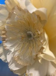 Krppapper kraftigt 180gr Grn