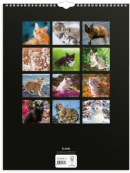 V�ggkalender Stora Kattkalendern 2027