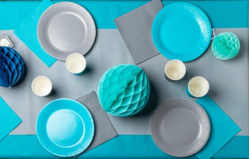 Tallrik PRONAPPE papper 23cm 20/fp turko