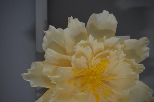 Krppapper kraftigt 180gr Vinrd