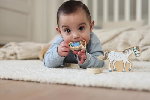 Pippi trfigurset 5 delar