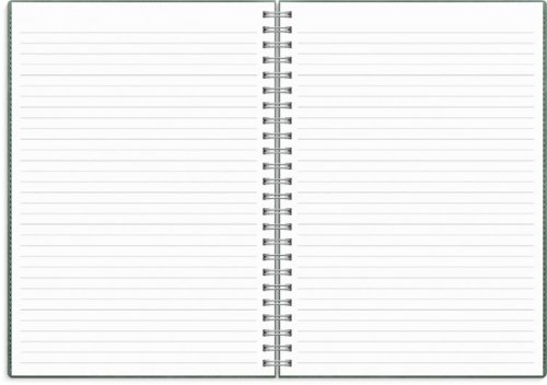 Kalender Study Twist A5 gr�n 26/27