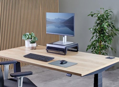 Musmatta FELLOWES Breyta 28x21 bl