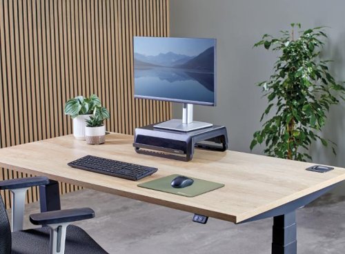 Musmatta FELLOWES Breyta 28x21 grn
