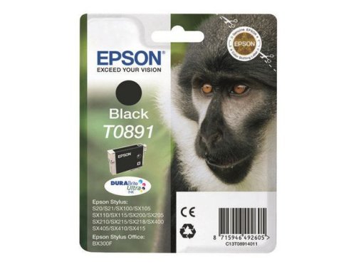 Bläckpatron EPSON C13T08914011 svart