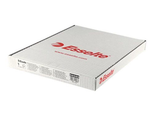 Plastficka ESSELTE PP A4 0,06 klar 100/F