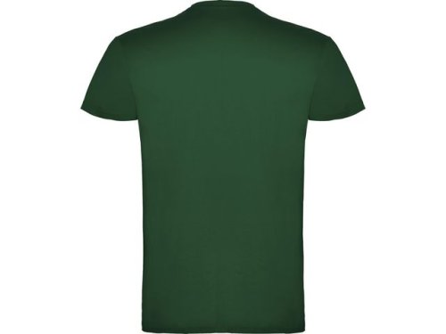 T-shirt PF beagle herr buteljgr 2XL