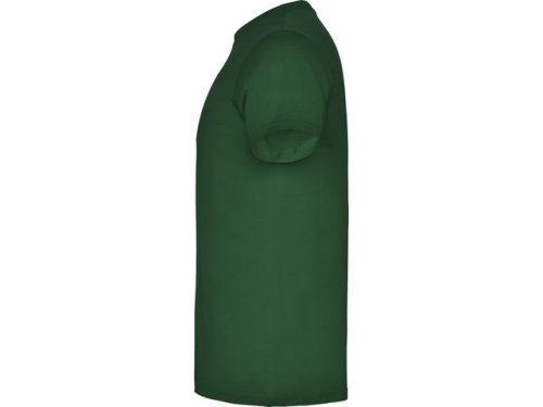 T-shirt PF beagle herr buteljgr 2XL