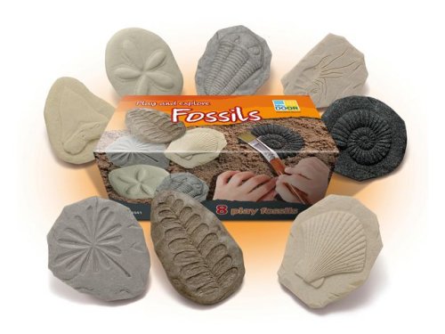 Undersk Fossilier av sten 8/fp