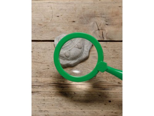Undersk Fossilier av sten 8/fp