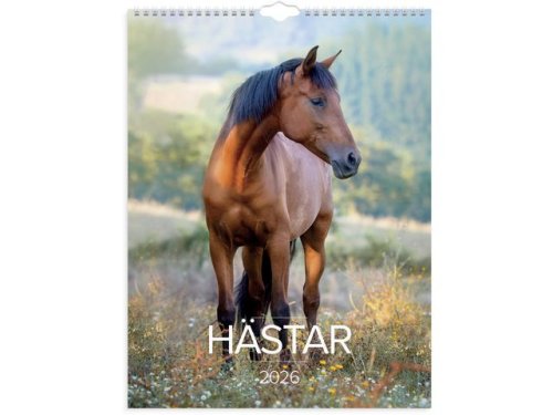 Vggkalender Stora Hstkalendern 2026