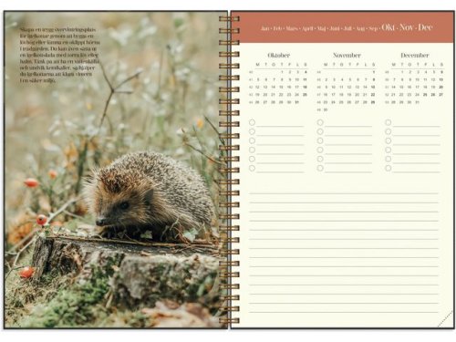Kalender Lantdrmmar 2026