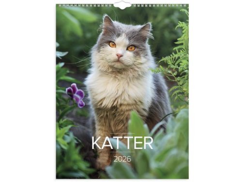 Vggkalender Stora Kattkalendern 2026