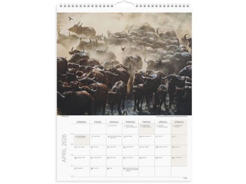 Vggkalender Savannen 2026