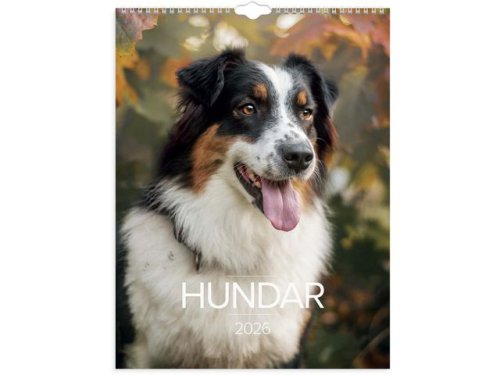 Vggkalender Stora Hundkalendern 2026