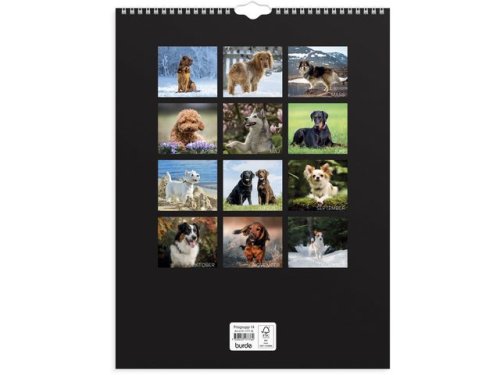 Vggkalender Stora Hundkalendern 2026