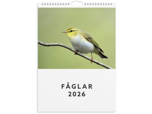 Vggkalender 2026 Fglar