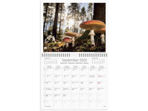 Vggkalender Vr vackra skog 2026